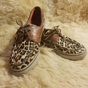 Leopard Sperry